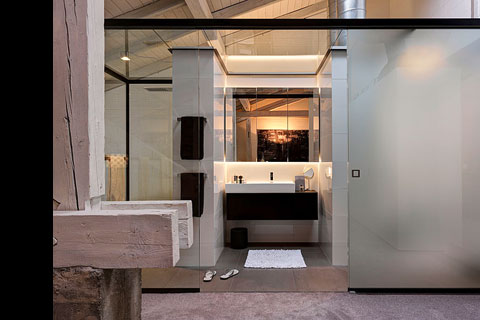 toplevel, bathroom, washbasin translucent door