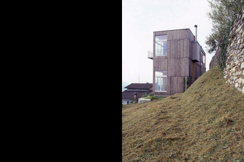 house facade view from the slope garden