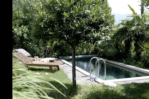 sunny day, poolside, wooden deckchair, plants